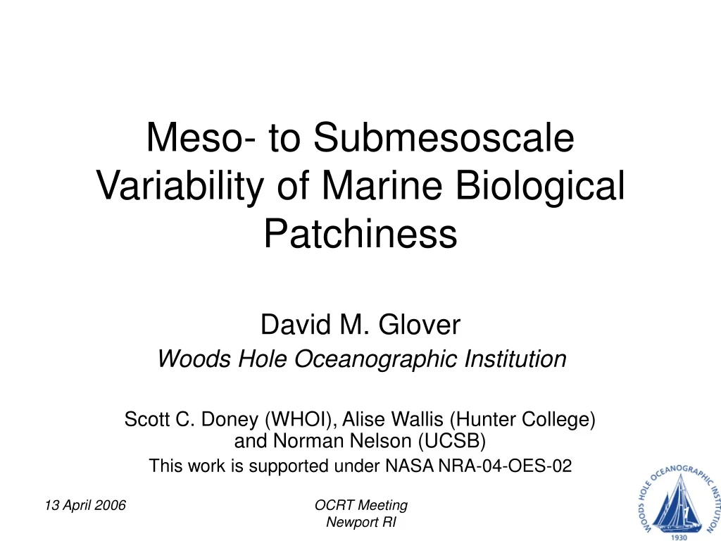 meso to submesoscale variability of marine biological patchiness