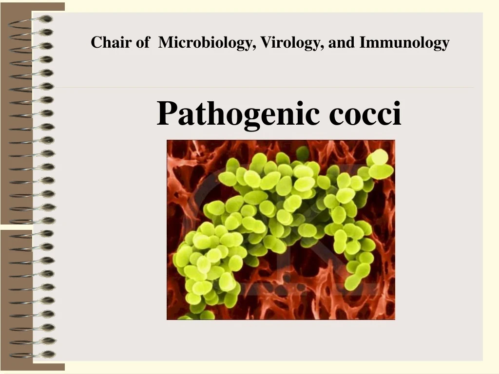 c hair of m icrobiology v irology and i mmunology