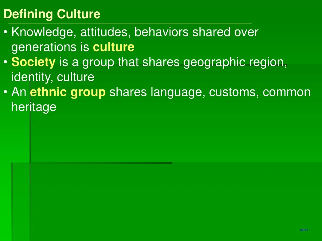 defining culture