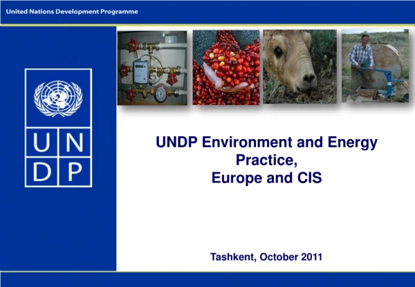 UNDP Environment and Energy Practice,  Europe and CIS
