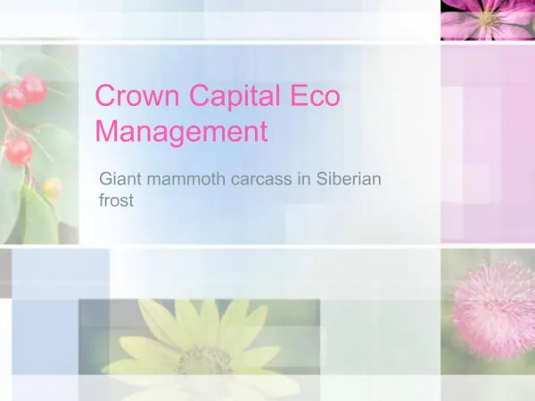 Crown Capital Eco Management - Giant Mammoth Carcass in Sibe