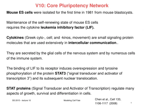 V10: Core Pluripotency Network