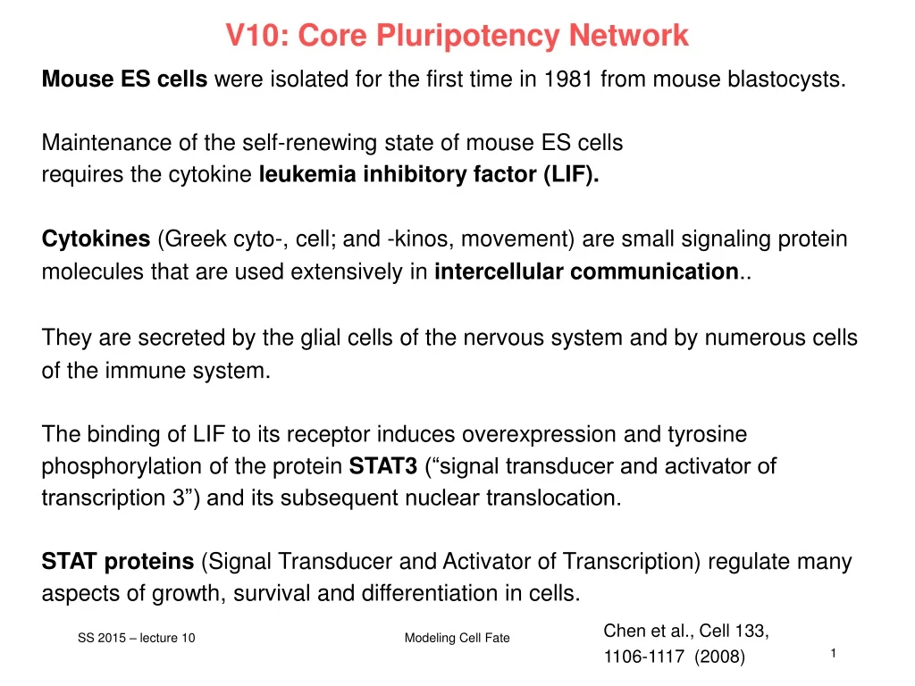 v10 core pluripotency network