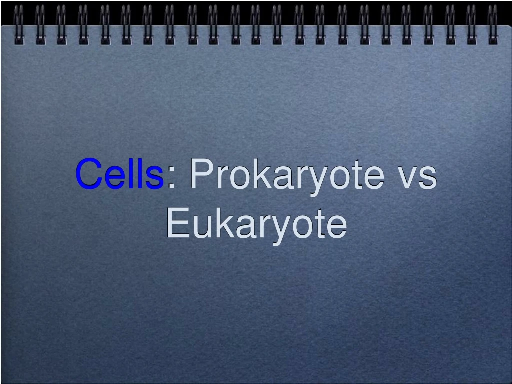 cells prokaryote vs eukaryote