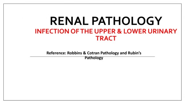 Renal Pathology Infection of the upper &amp; lower urinary tract
