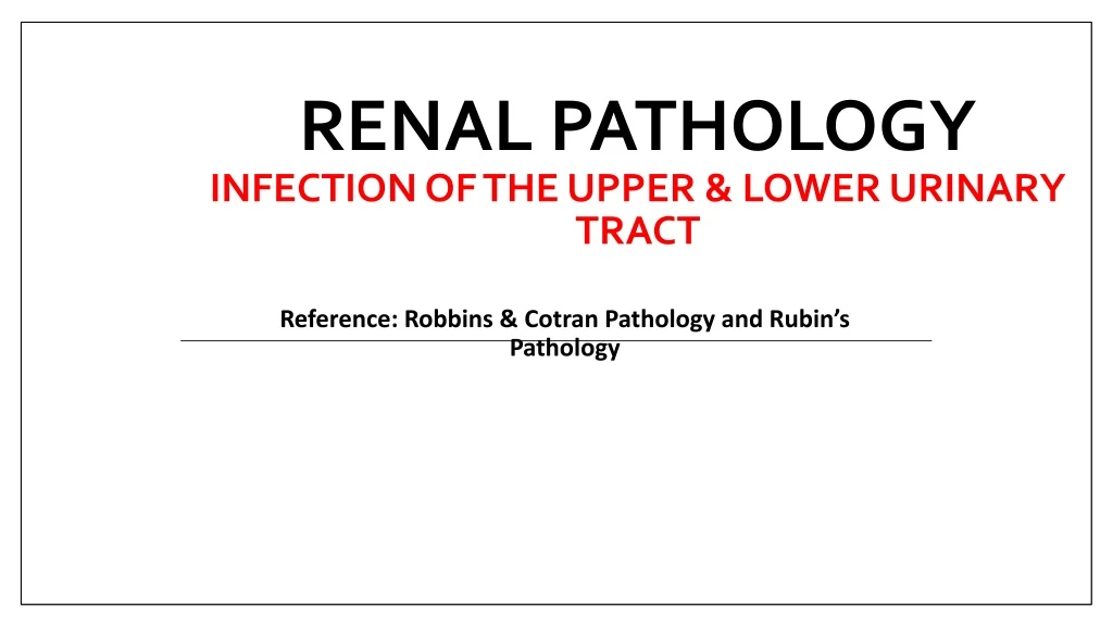 renal pathology infection of the upper lower urinary tract
