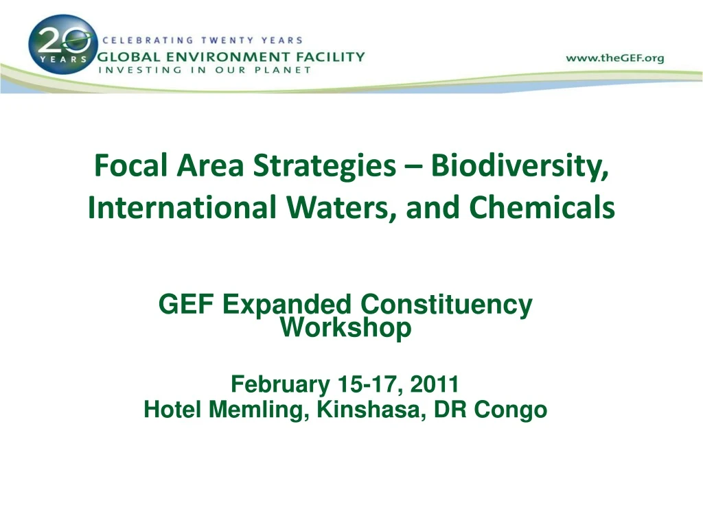 focal area strategies biodiversity international waters and chemicals