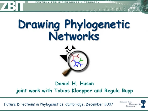 Drawing Phylogenetic Networks