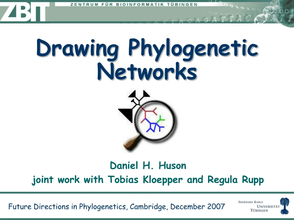 drawing phylogenetic networks