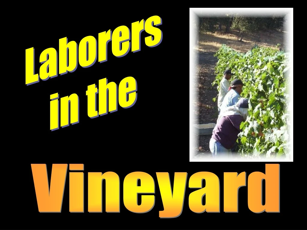 laborers in the