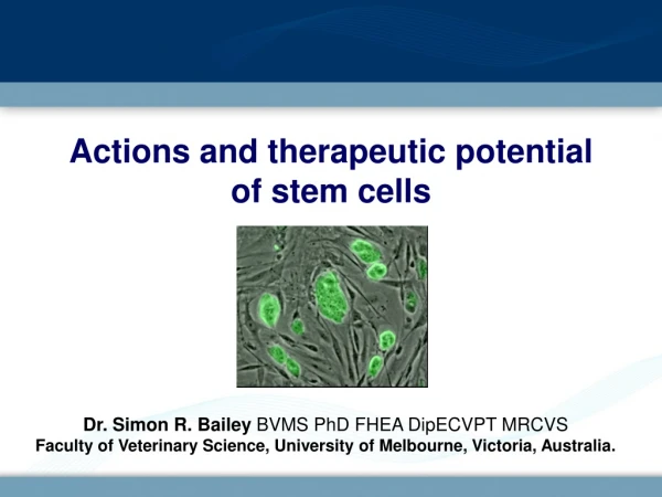 Actions and therapeutic potential  of stem cells