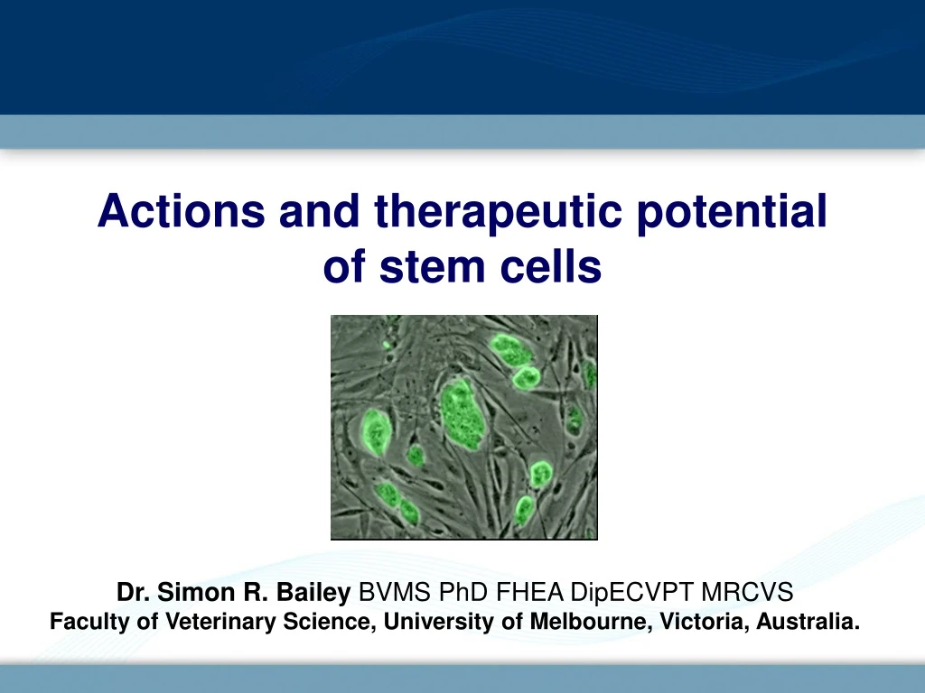 actions and therapeutic potential of stem cells