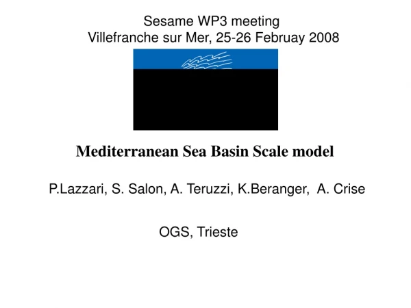 Mediterranean Sea Basin Scale model