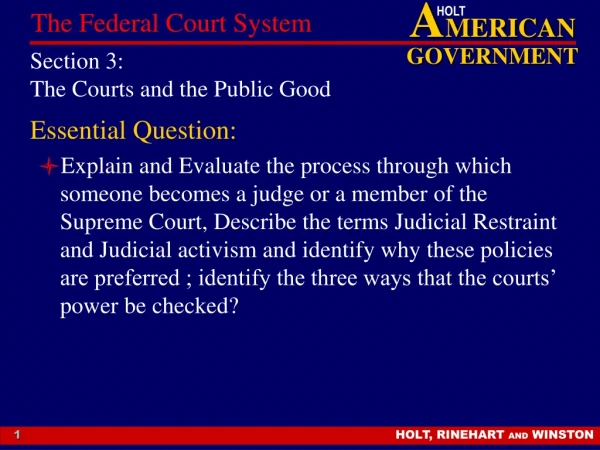 Section 3:  The Courts and the Public Good