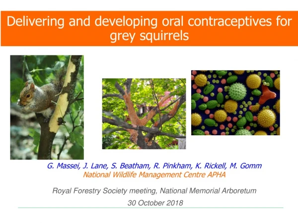 Delivering and developing oral contraceptives for grey squirrels