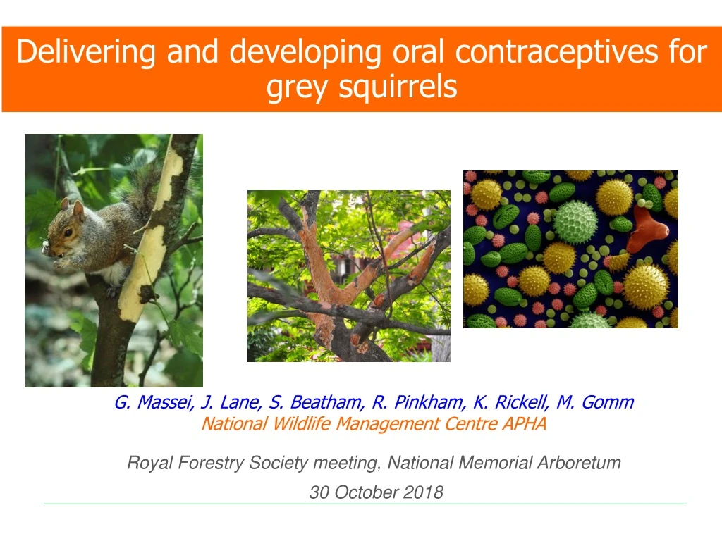 delivering and developing oral contraceptives for grey squirrels