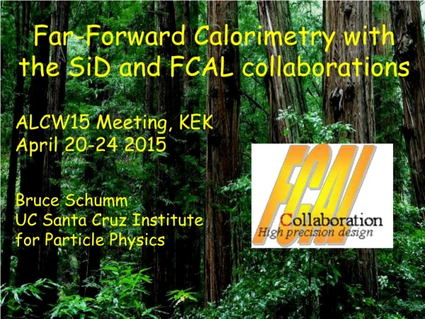 Far-Forward Calorimetry with the SiD and FCAL collaborations  ALCW15 Meeting, KEK April 20-24 2015