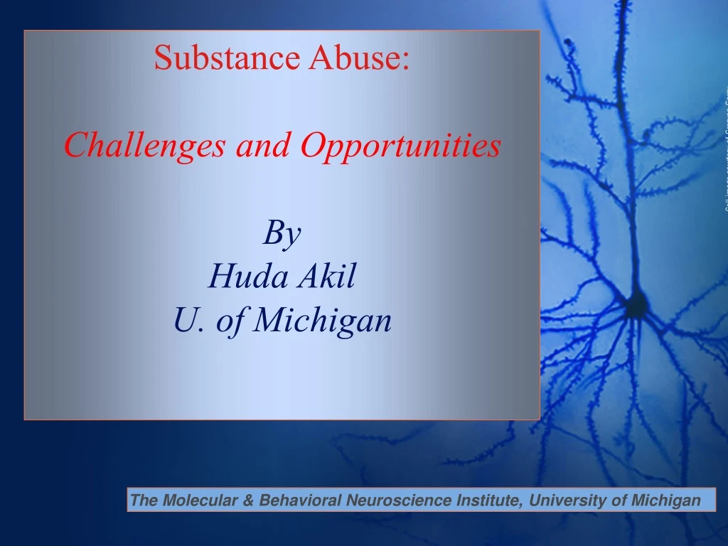 substance abuse challenges and opportunities