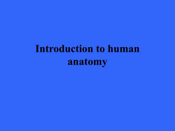 Introduction to human anatomy