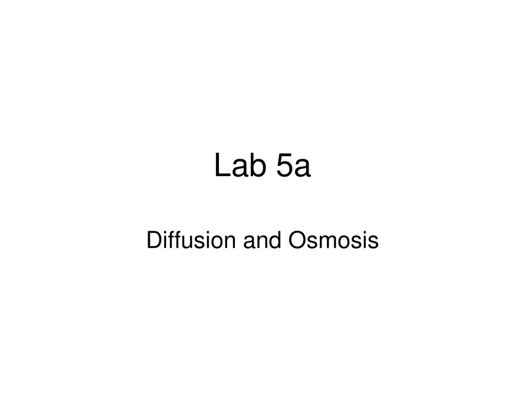 lab 5a