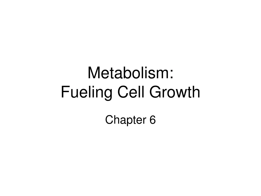 metabolism fueling cell growth