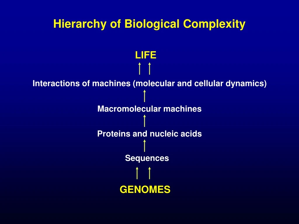 hierarchy of biological complexity