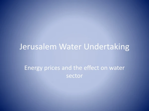 Jerusalem Water Undertaking