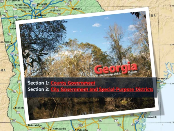 Section 1:  County Government Section 2:  City Government and Special-Purpose Districts