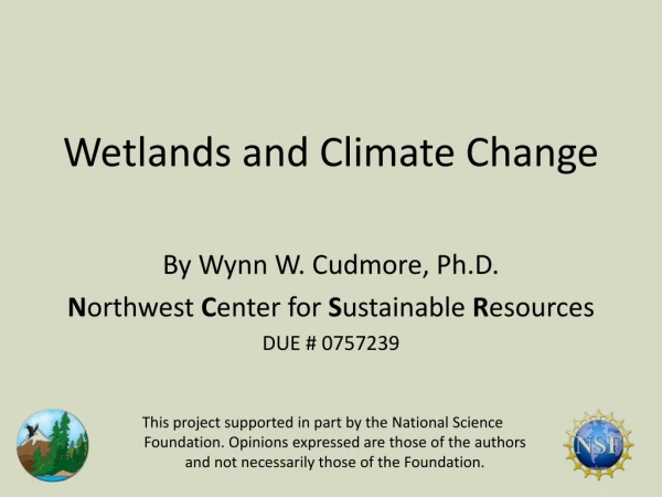 Wetlands and Climate Change