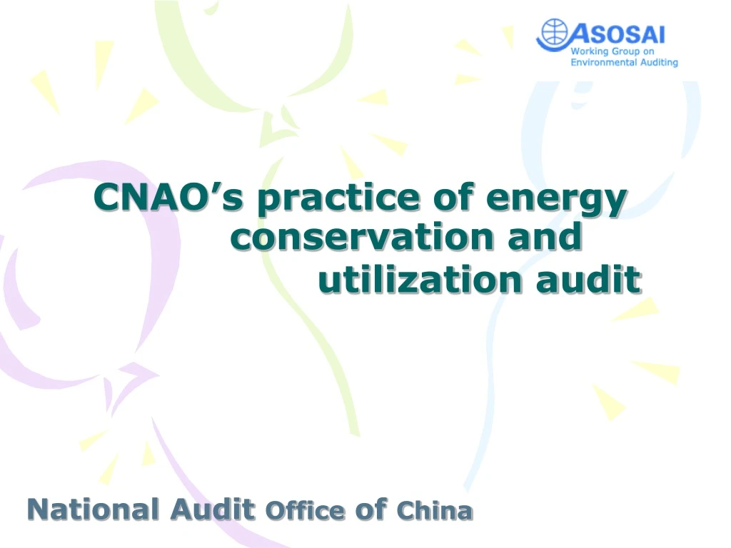 national audit office of china