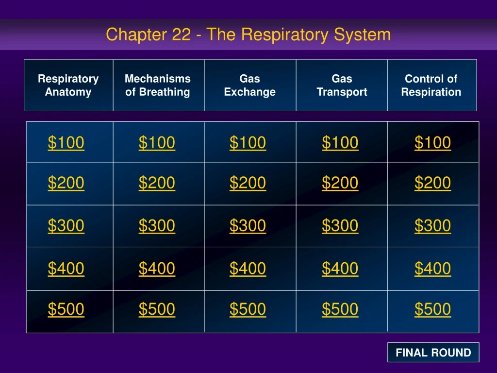 chapter 22 the respiratory system