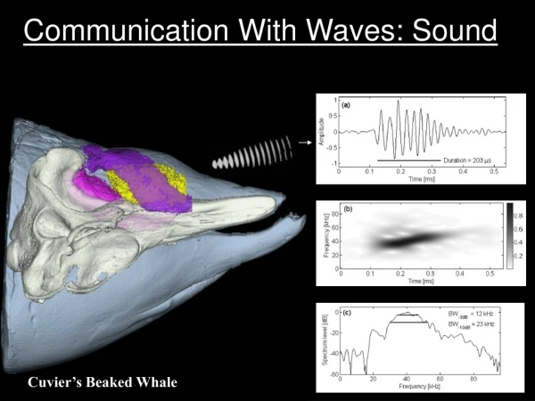 Communication With Waves: Sound