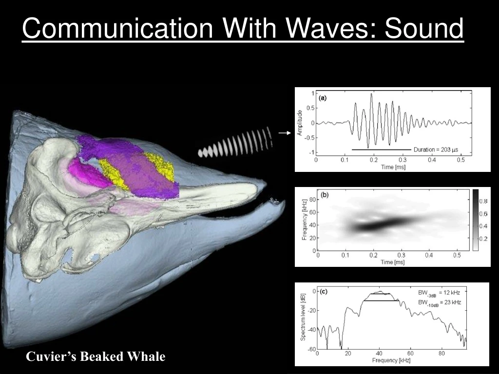 communication with waves sound
