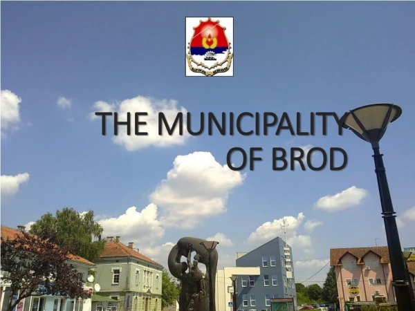 THE MUNICIPALITY  OF  BROD