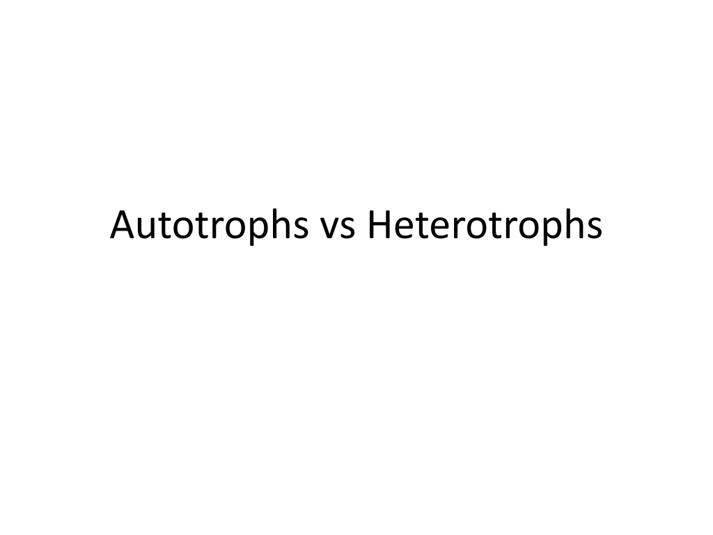 autotrophs vs heterotrophs