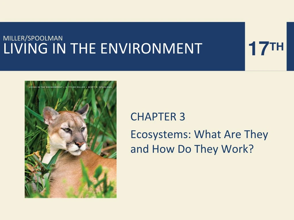 chapter 3 ecosystems what are they and how do they work