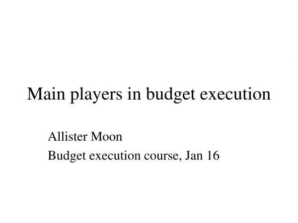 Main players in budget execution