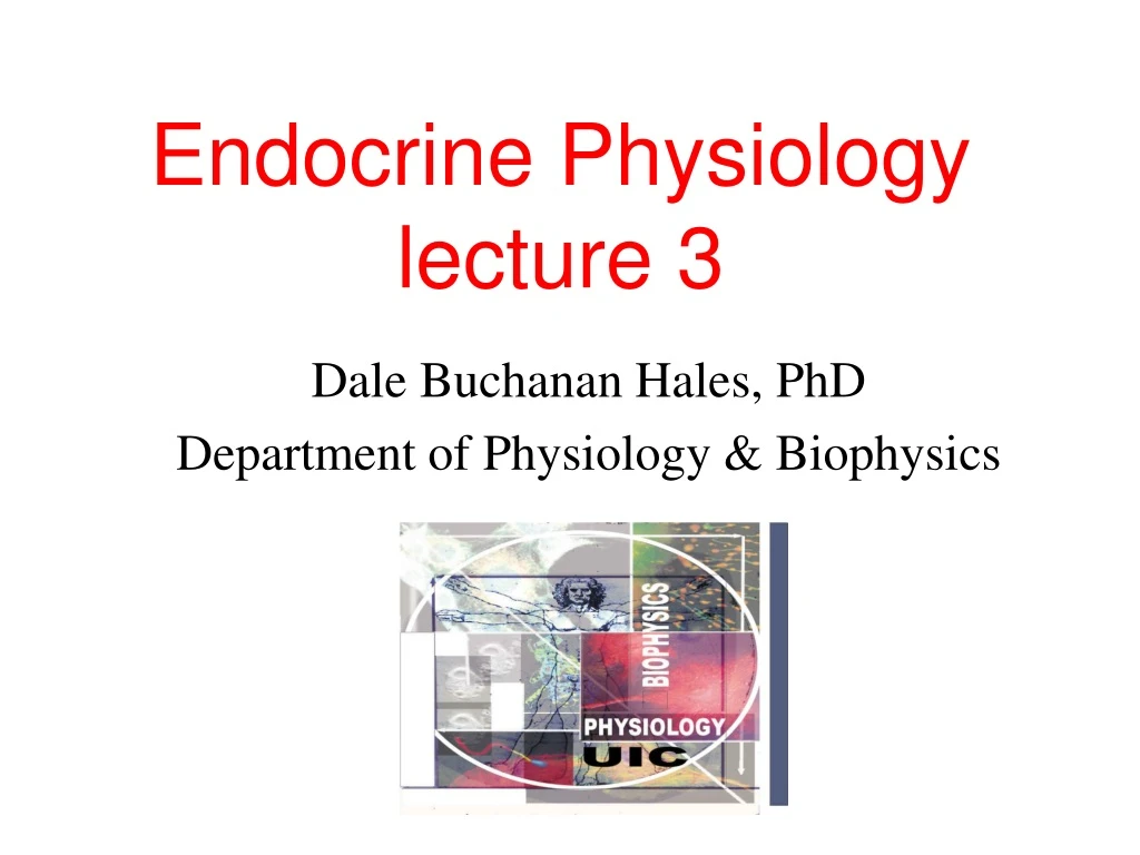 endocrine physiology lecture 3