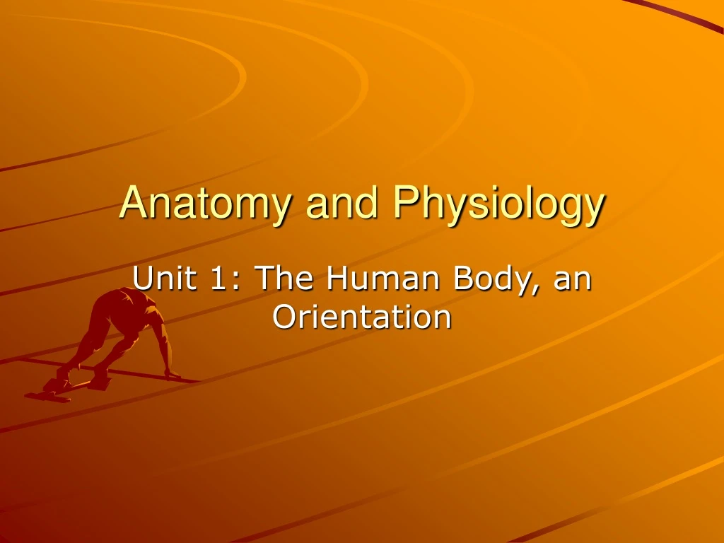 anatomy and physiology