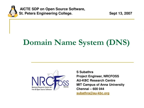 Domain Name System (DNS)