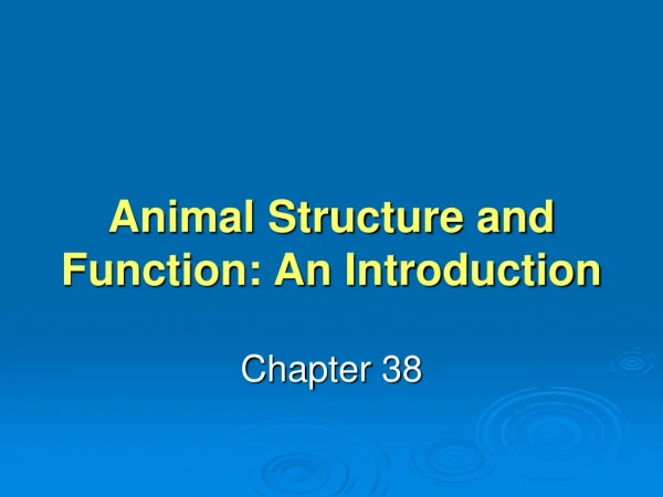 Animal Structure and Function: An Introduction