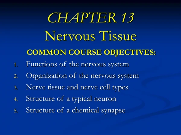 CHAPTER 13 Nervous Tissue