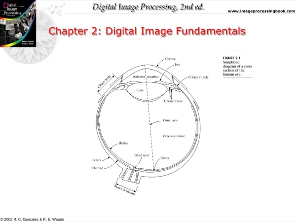 Chapter 2: Digital Image Fundamentals