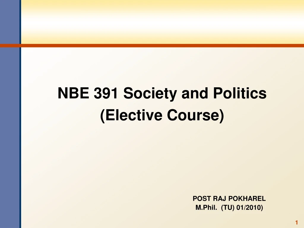 nbe 391 society and politics elective course