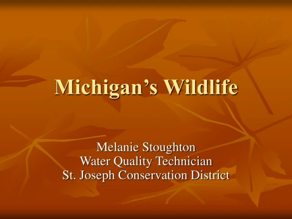 Michigan’s Wildlife