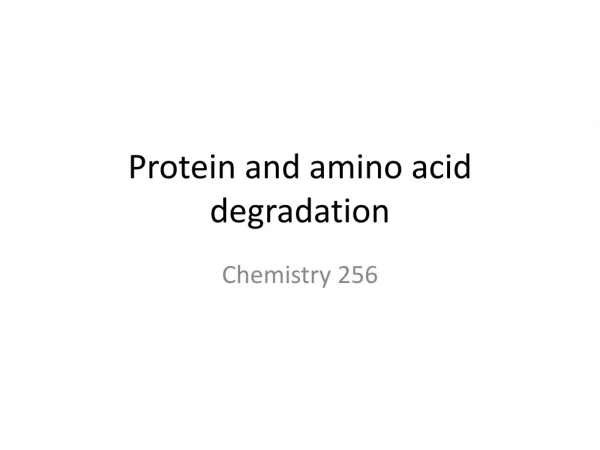 Protein and amino acid degradation