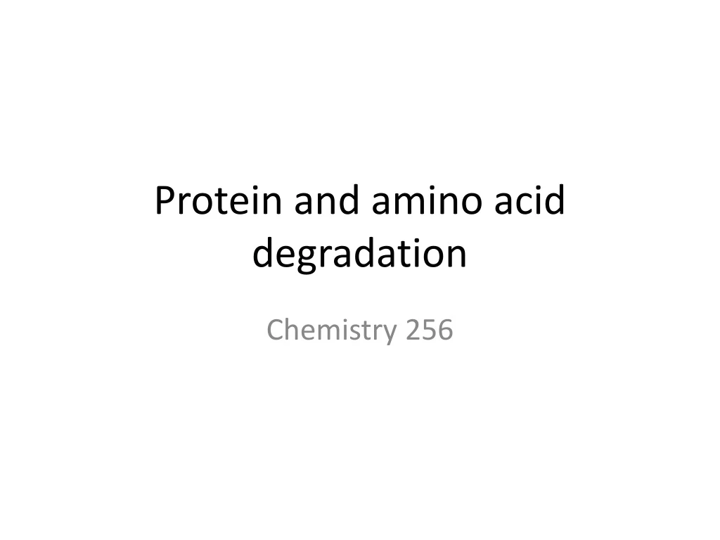 protein and amino acid degradation