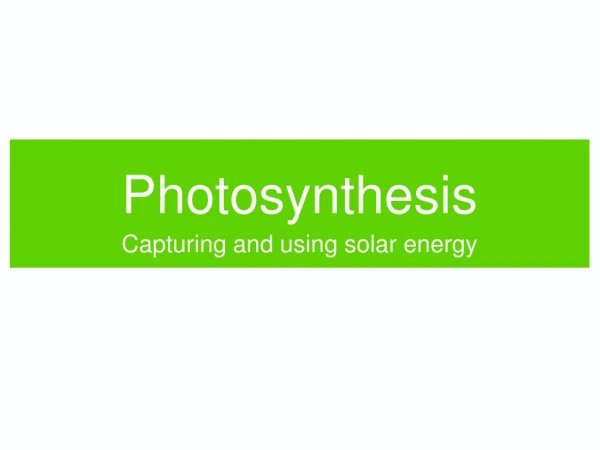 Photosynthesis