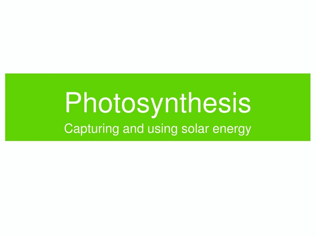 photosynthesis