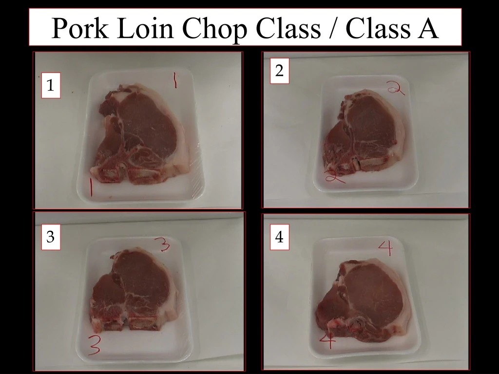 pork loin chop class class a